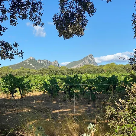 Mas De Cala, Detente Au Pic Loup Сasa de vacaciones *