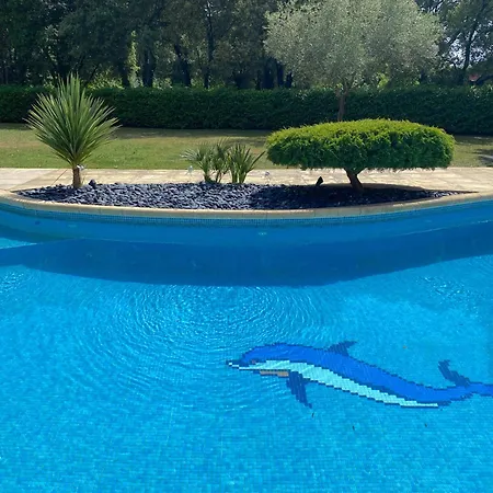 Mas De Cala - Gites Avec Piscine Au Pic Saint-Loup Apartman